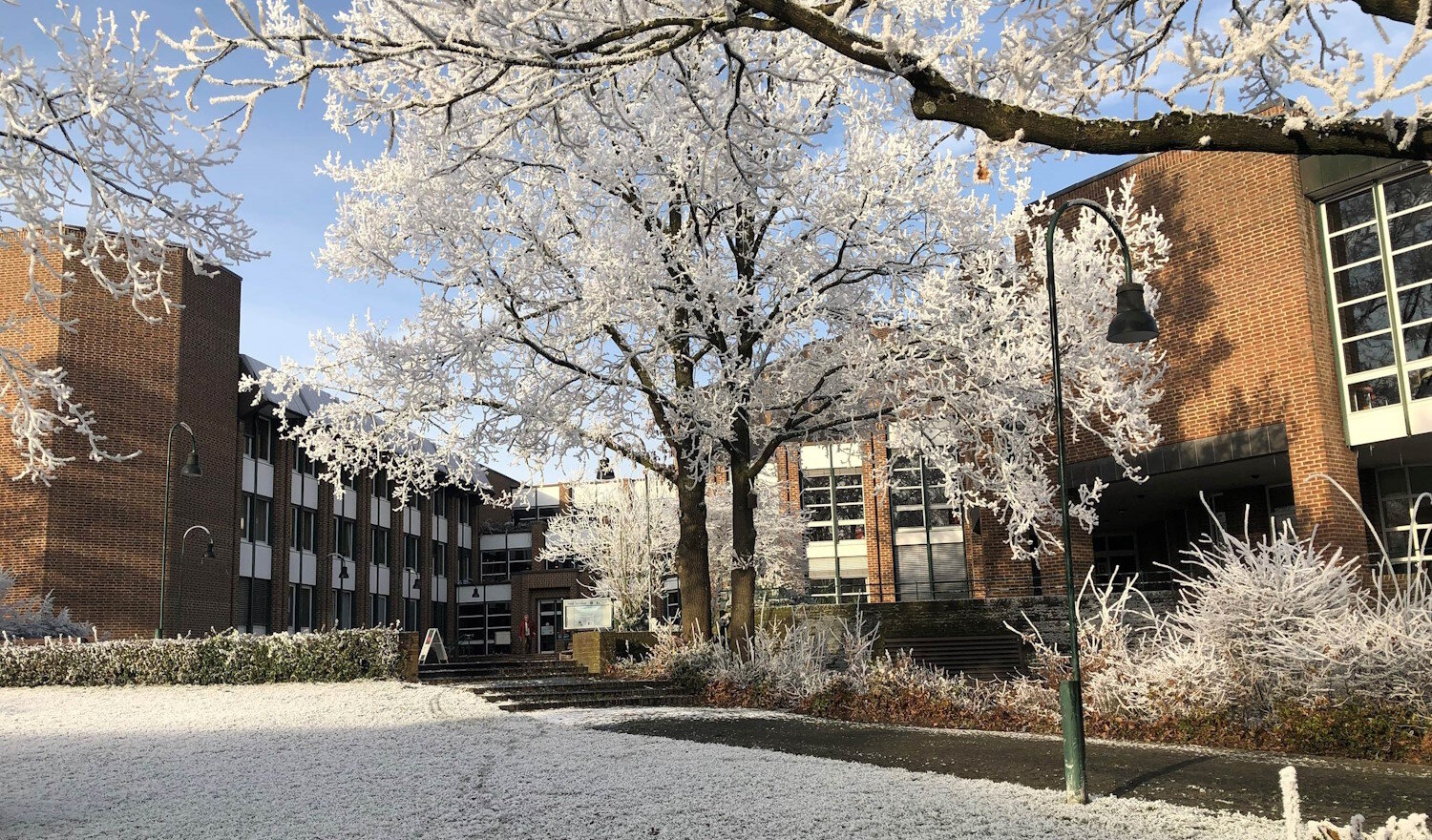 Rathaus im Frost