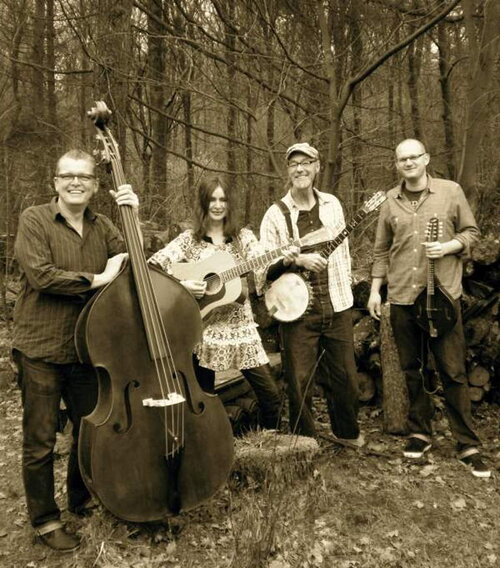 Tree Mountain Stringband