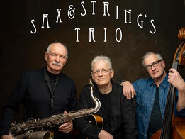 Sax & Strings Trio