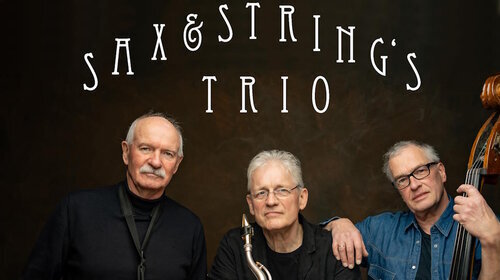 Sax & Strings Trio