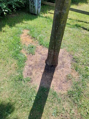 Baum auf Spielplatz Ulmenweg beschädigt