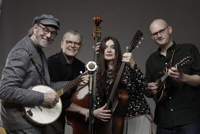 Tree Mountain Stringband